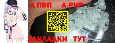 стаф Донской