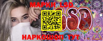 стаф Донской