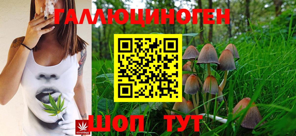 Галлюциногенные грибы Cubensis Зерноград